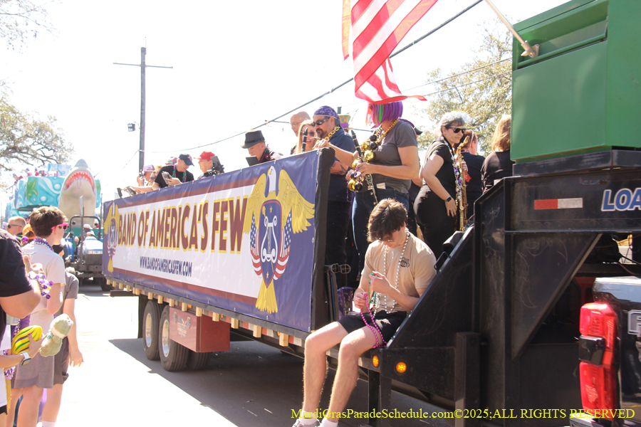 Krewe-of-Iris-2025-0782