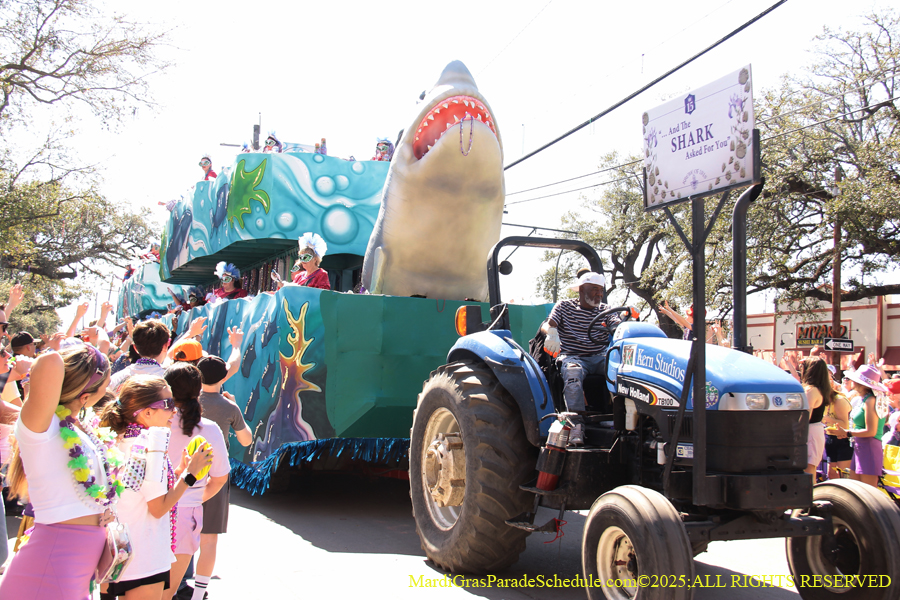 Krewe-of-Iris-2025-0783