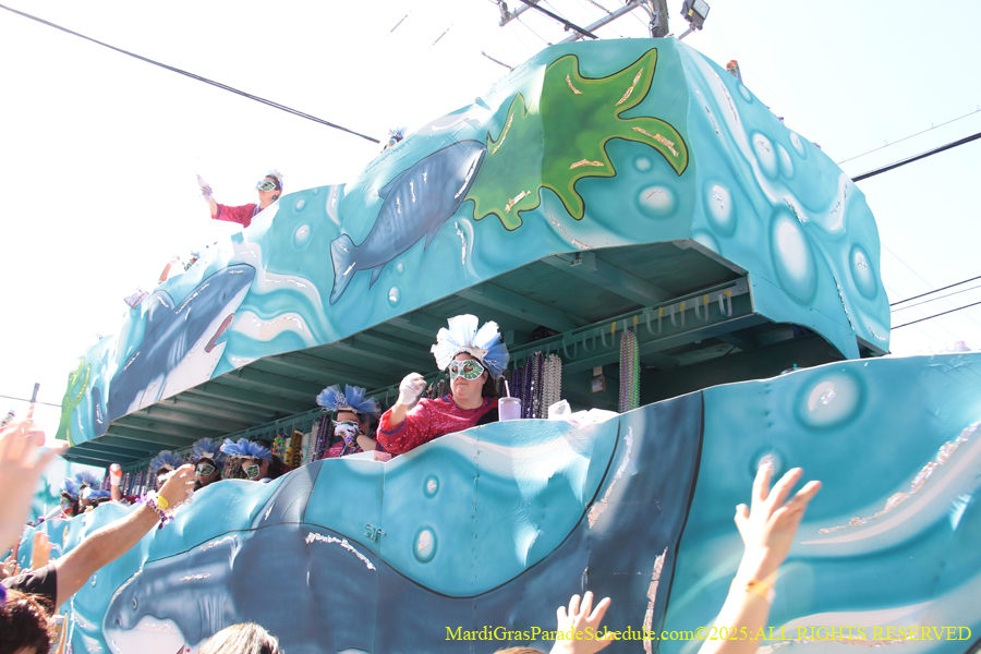 Krewe-of-Iris-2025-0784