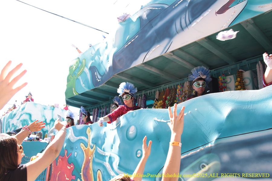 Krewe-of-Iris-2025-0785