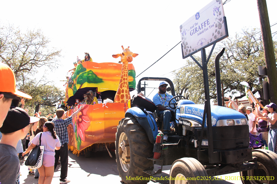 Krewe-of-Iris-2025-0789