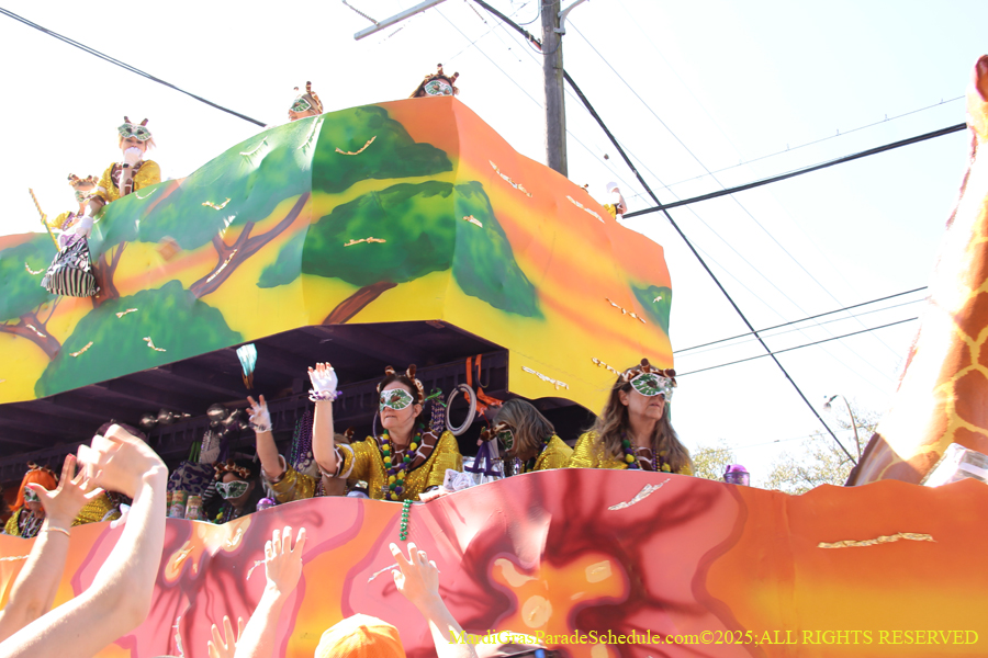 Krewe-of-Iris-2025-0790