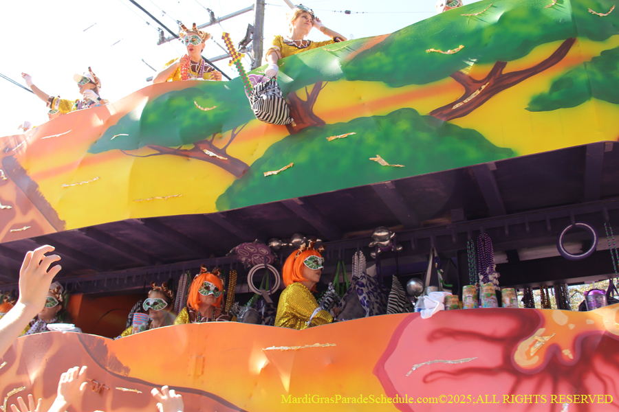 Krewe-of-Iris-2025-0791