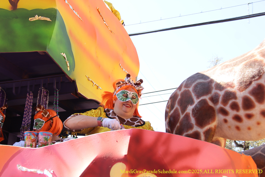 Krewe-of-Iris-2025-0793
