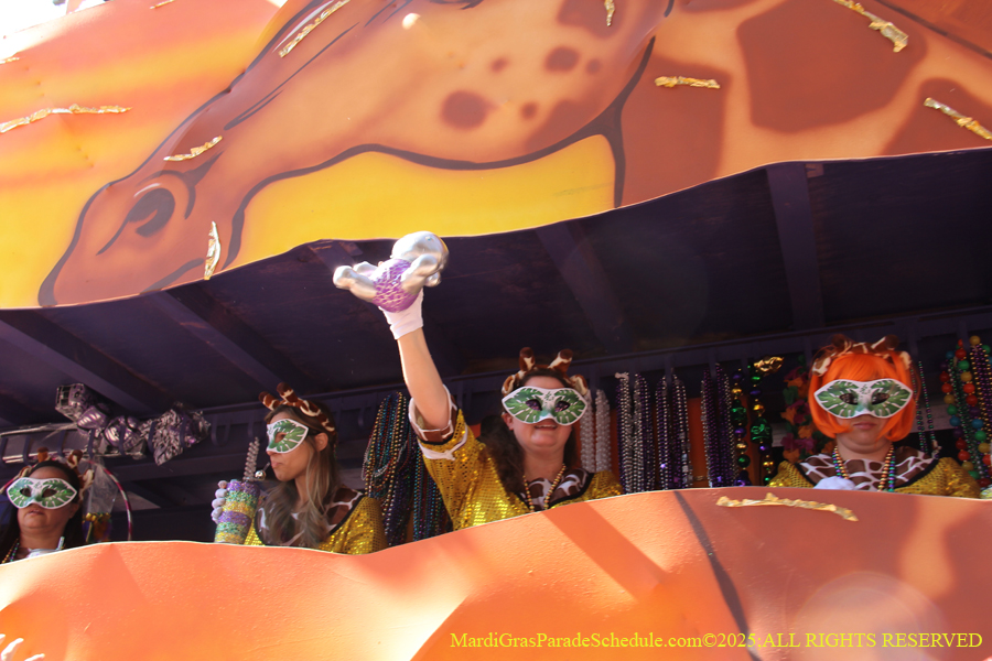 Krewe-of-Iris-2025-0794