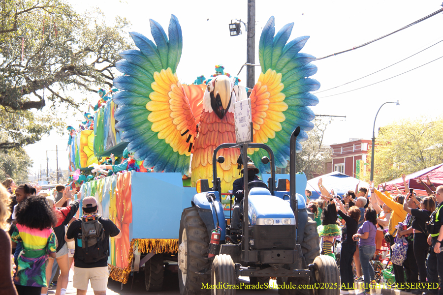 Krewe-of-Iris-2025-0797