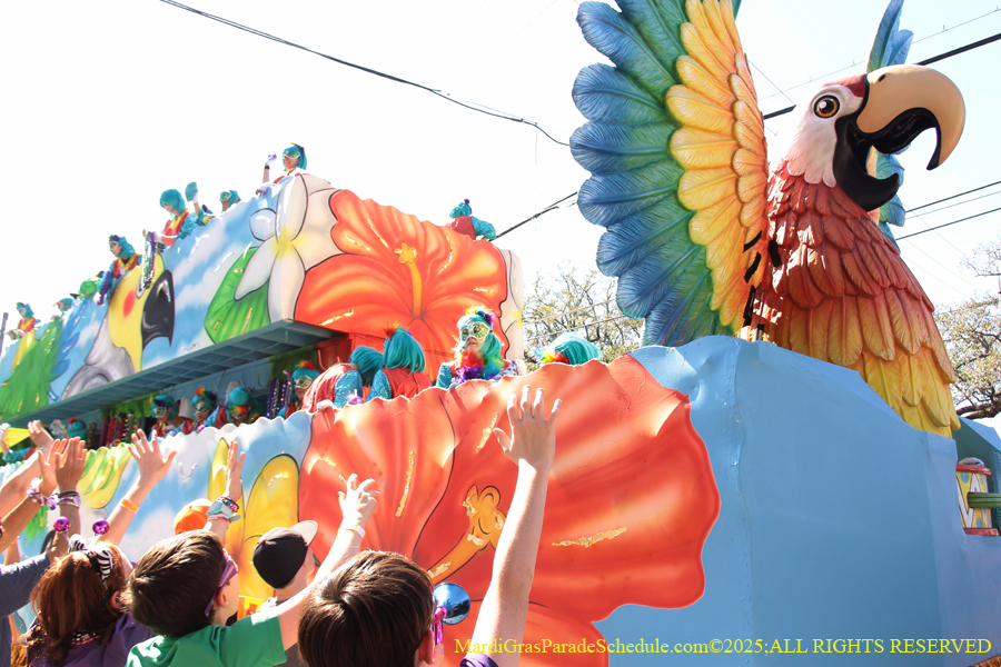 Krewe-of-Iris-2025-0798