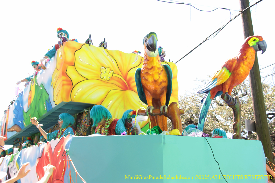 Krewe-of-Iris-2025-0799