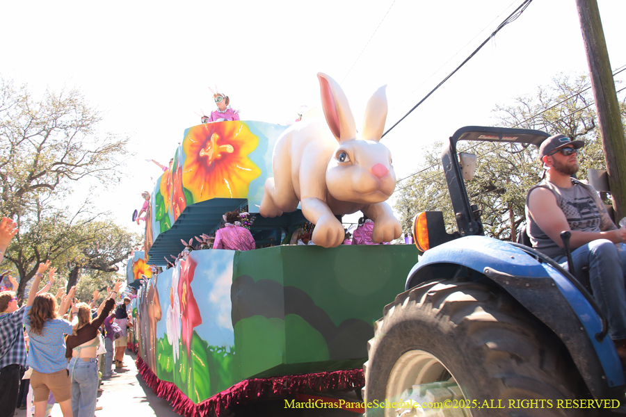 Krewe-of-Iris-2025-0805