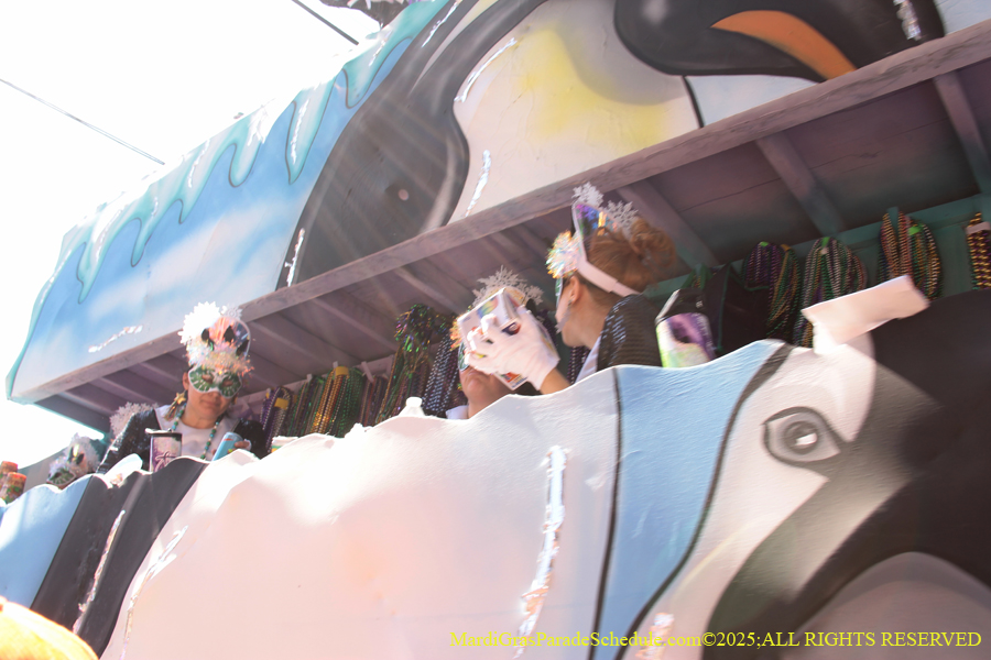 Krewe-of-Iris-2025-0807