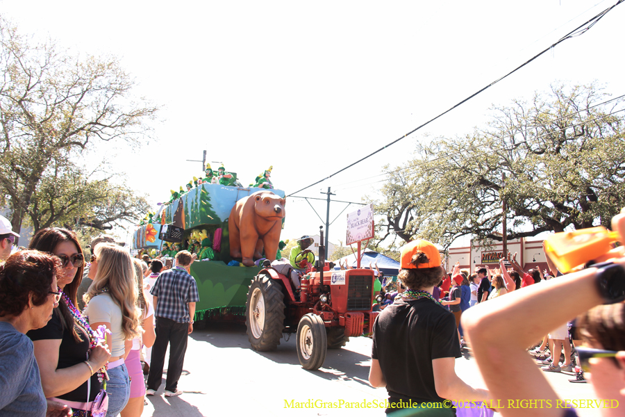 Krewe-of-Iris-2025-0809