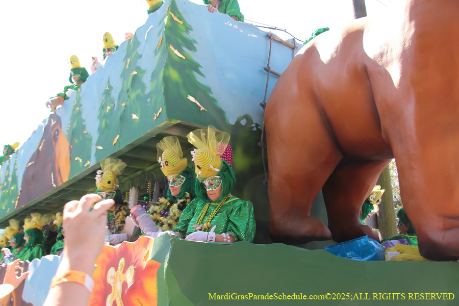 Krewe-of-Iris-2025-0810