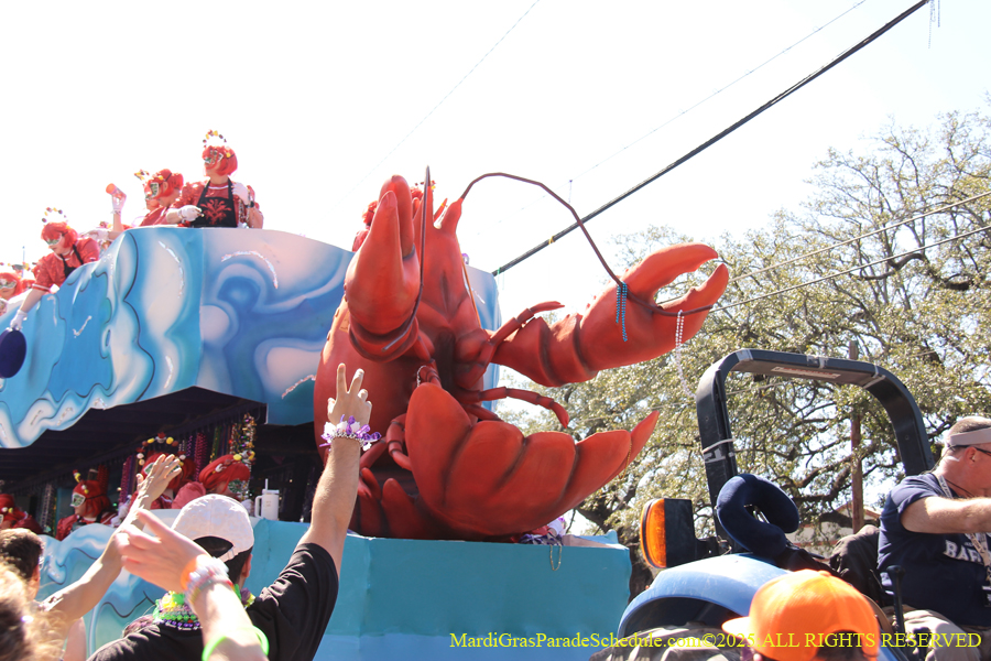 Krewe-of-Iris-2025-0815