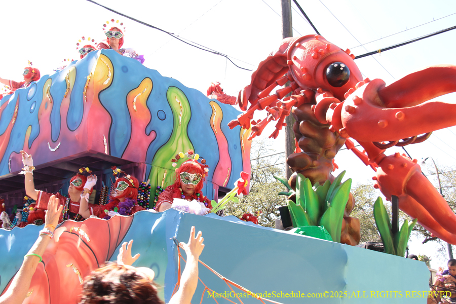 Krewe-of-Iris-2025-0820