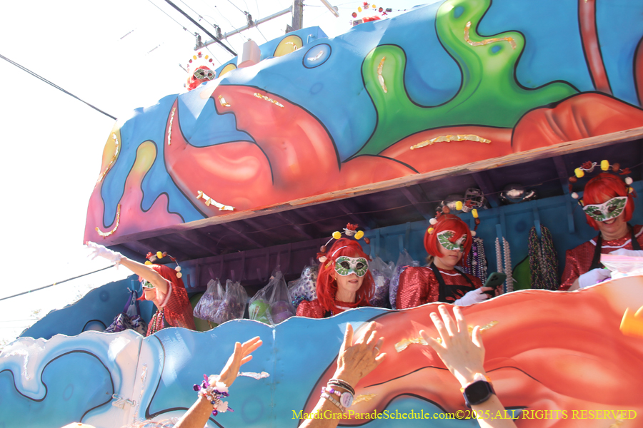 Krewe-of-Iris-2025-0822