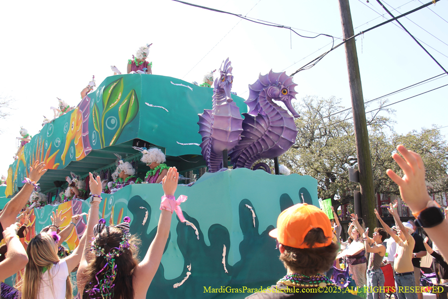 Krewe-of-Iris-2025-0825