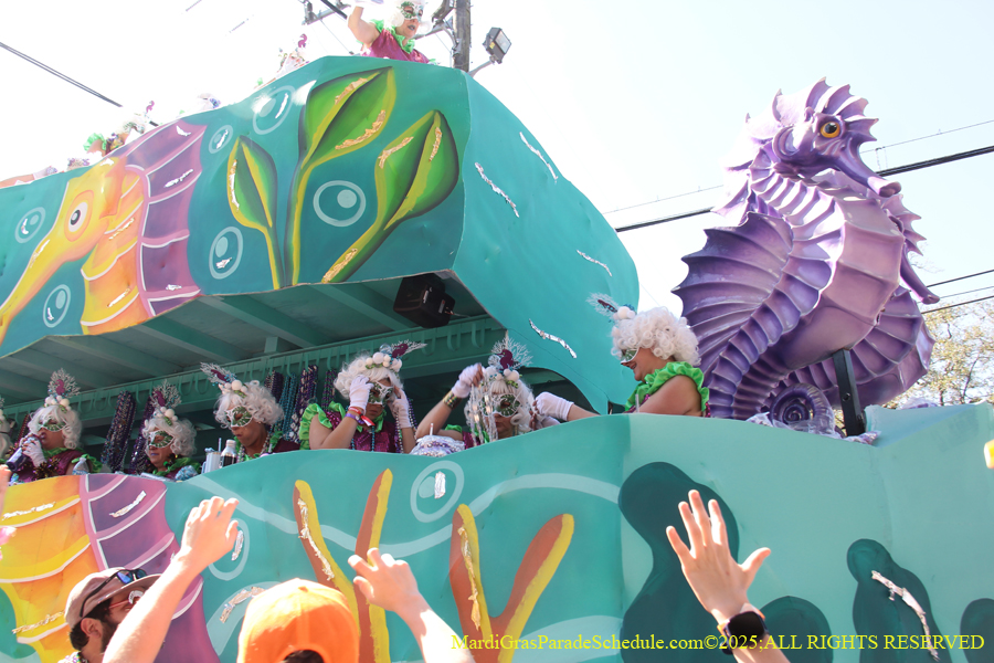 Krewe-of-Iris-2025-0826