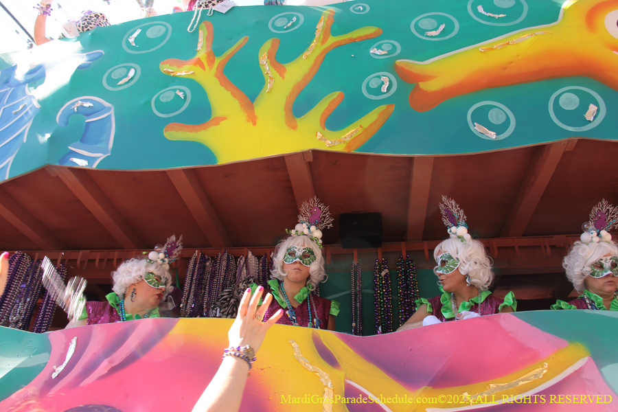 Krewe-of-Iris-2025-0828