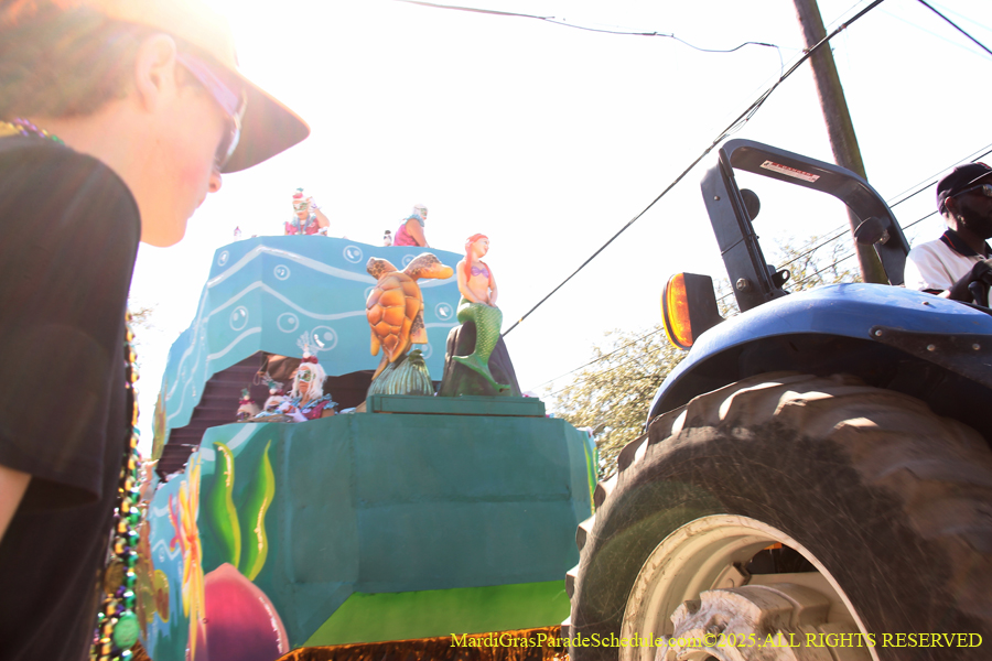 Krewe-of-Iris-2025-0829