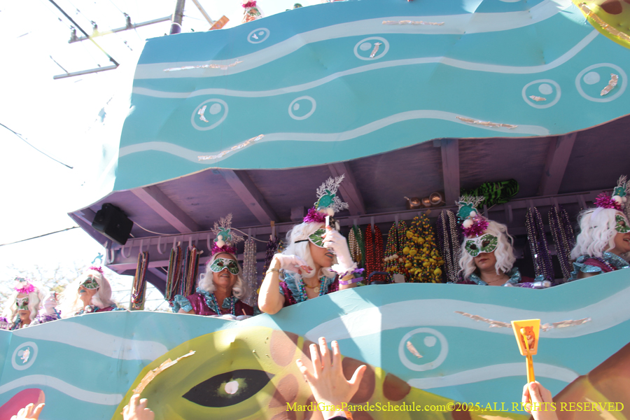 Krewe-of-Iris-2025-0830