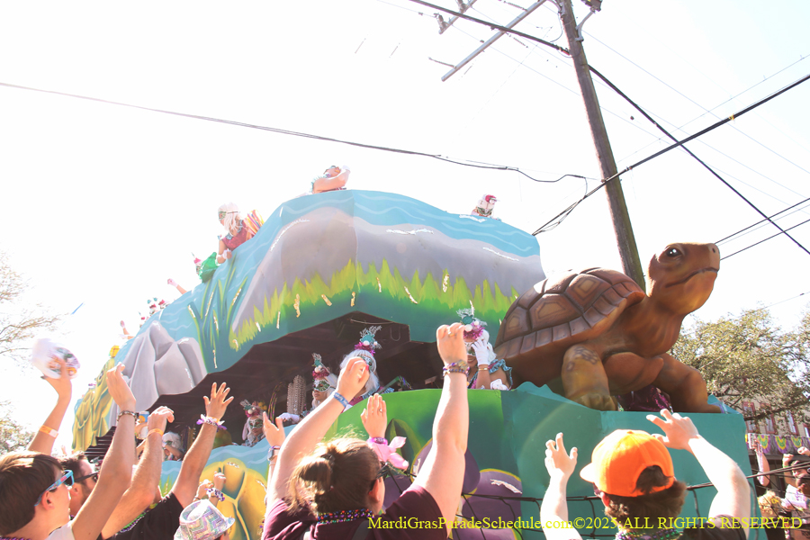 Krewe-of-Iris-2025-0831