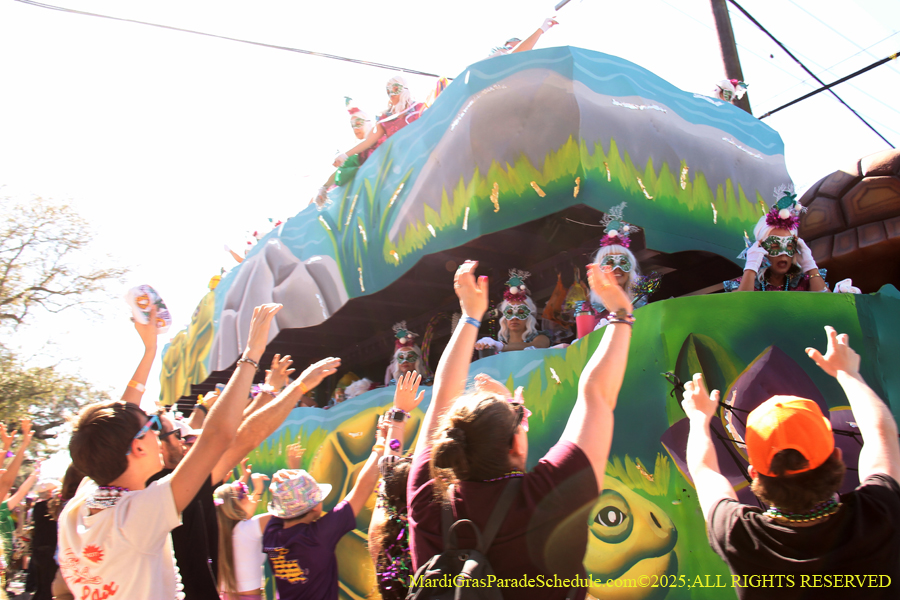 Krewe-of-Iris-2025-0832