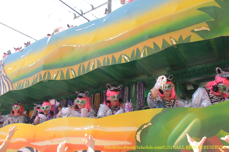 Krewe-of-Iris-2025-0835