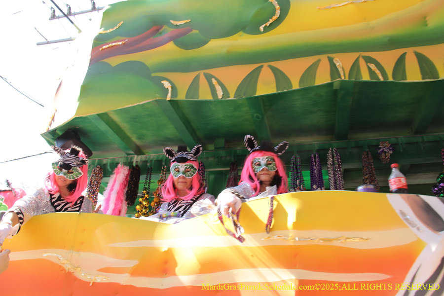 Krewe-of-Iris-2025-0836