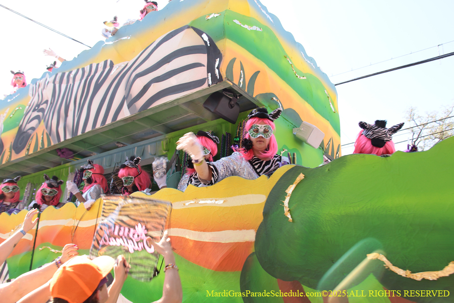 Krewe-of-Iris-2025-0837