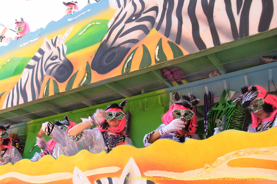 Krewe-of-Iris-2025-0838