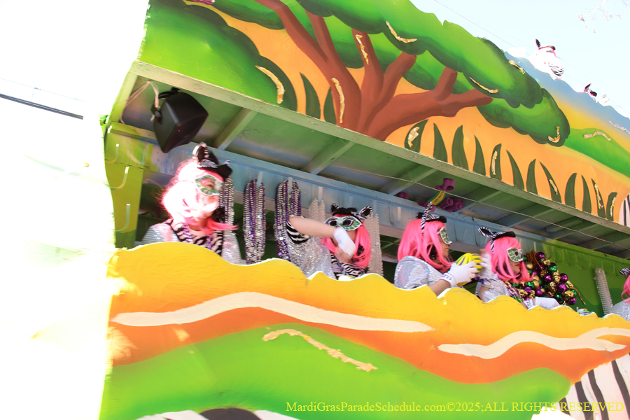 Krewe-of-Iris-2025-0839