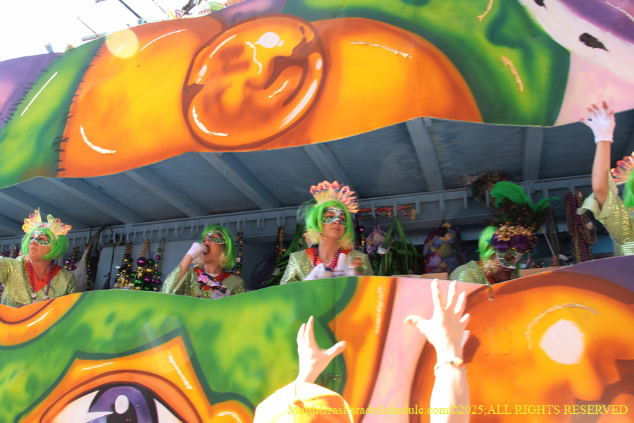 Krewe-of-Iris-2025-0842