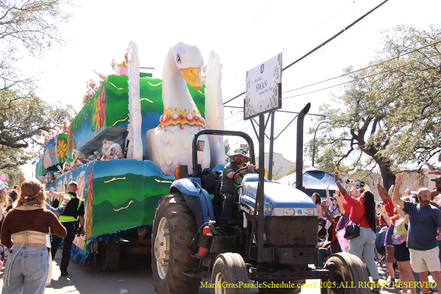Krewe-of-Iris-2025-0845