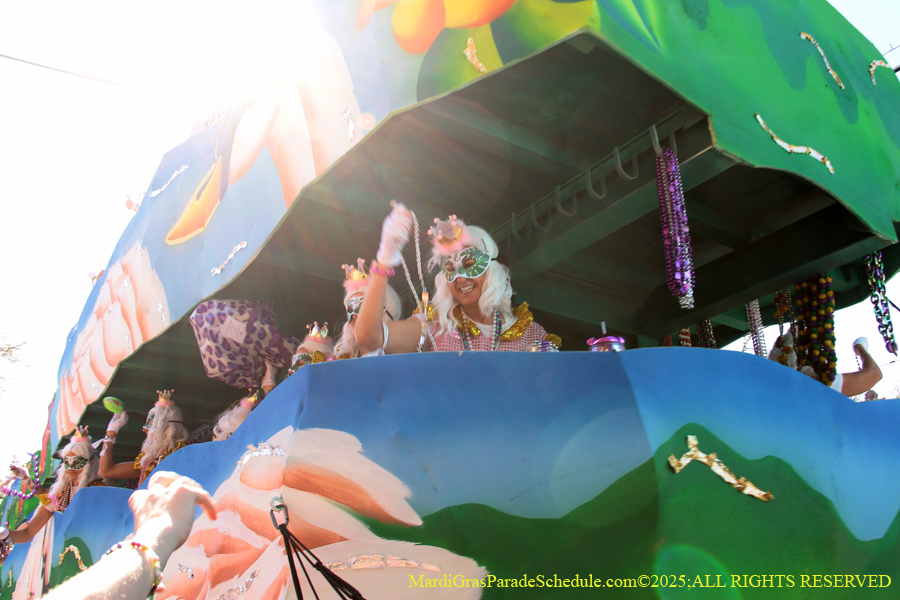 Krewe-of-Iris-2025-0847