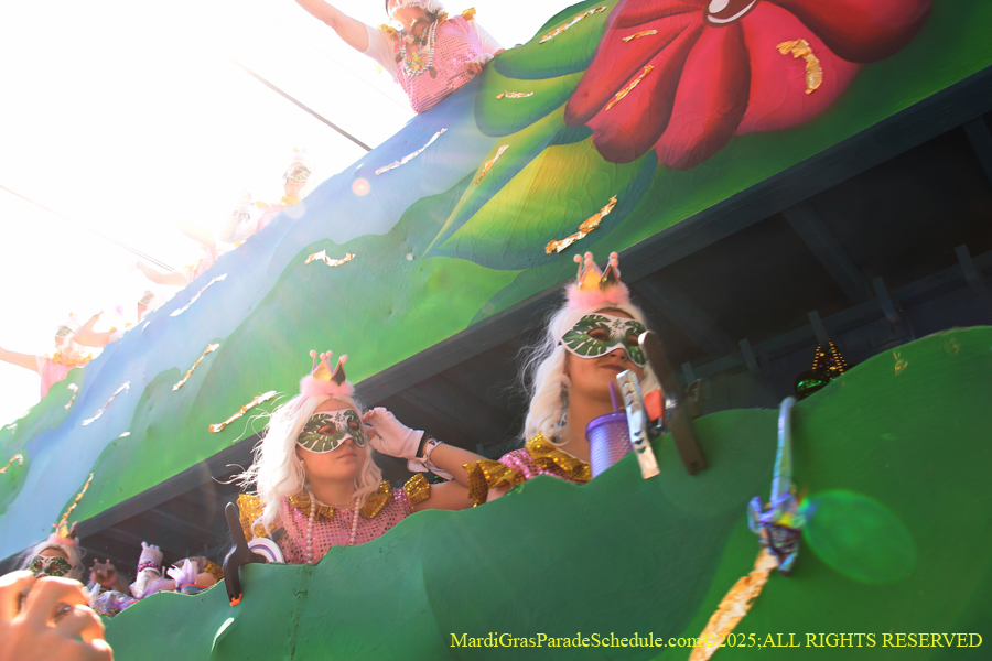 Krewe-of-Iris-2025-0848