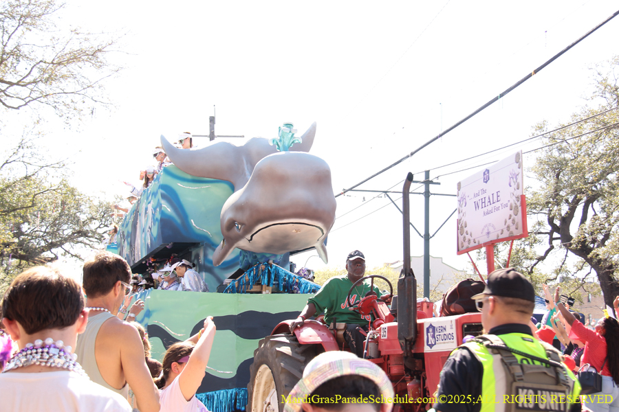 Krewe-of-Iris-2025-0852