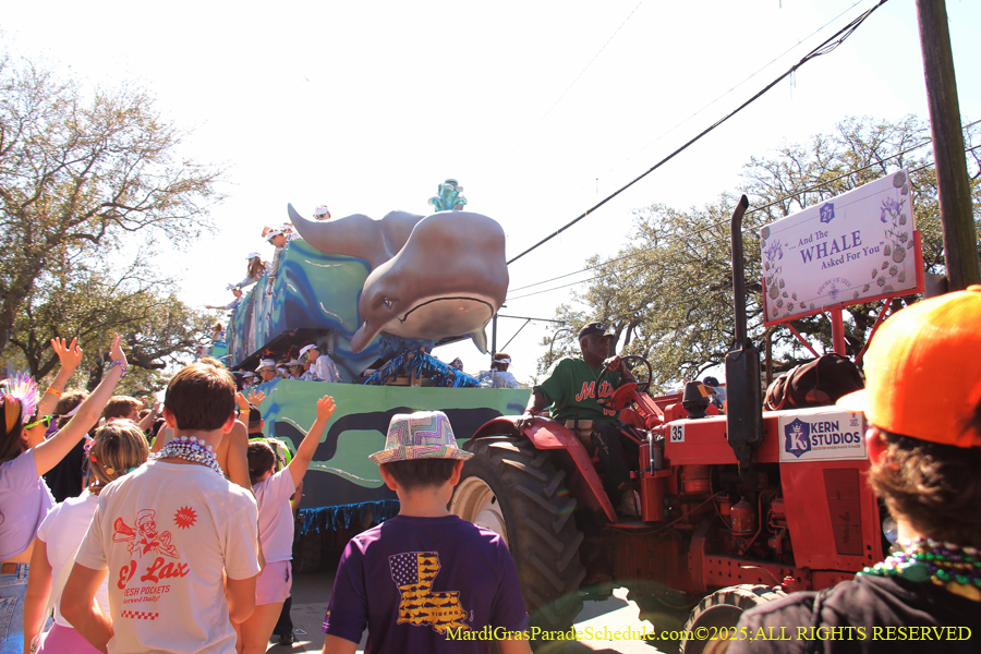 Krewe-of-Iris-2025-0853