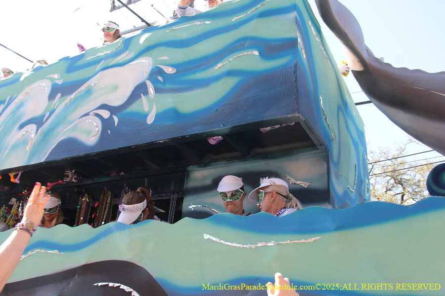 Krewe-of-Iris-2025-0854