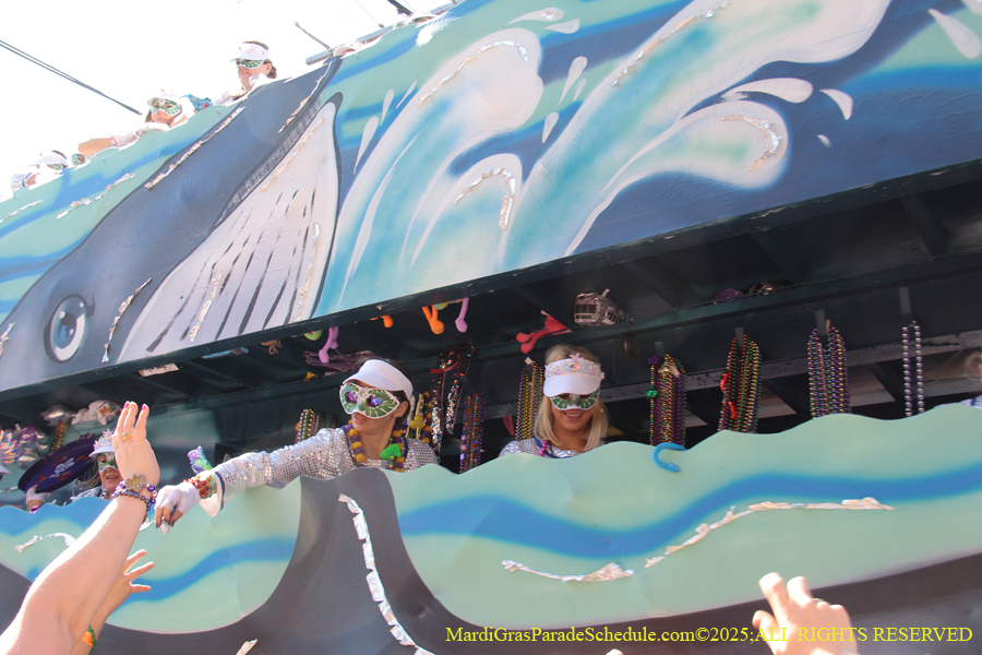 Krewe-of-Iris-2025-0855