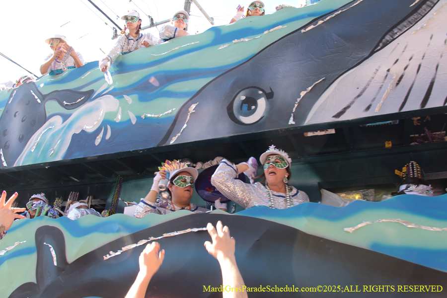 Krewe-of-Iris-2025-0856