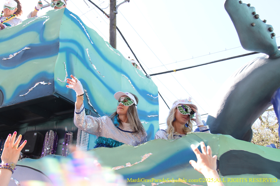 Krewe-of-Iris-2025-0857