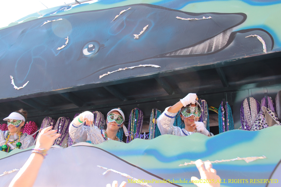 Krewe-of-Iris-2025-0858