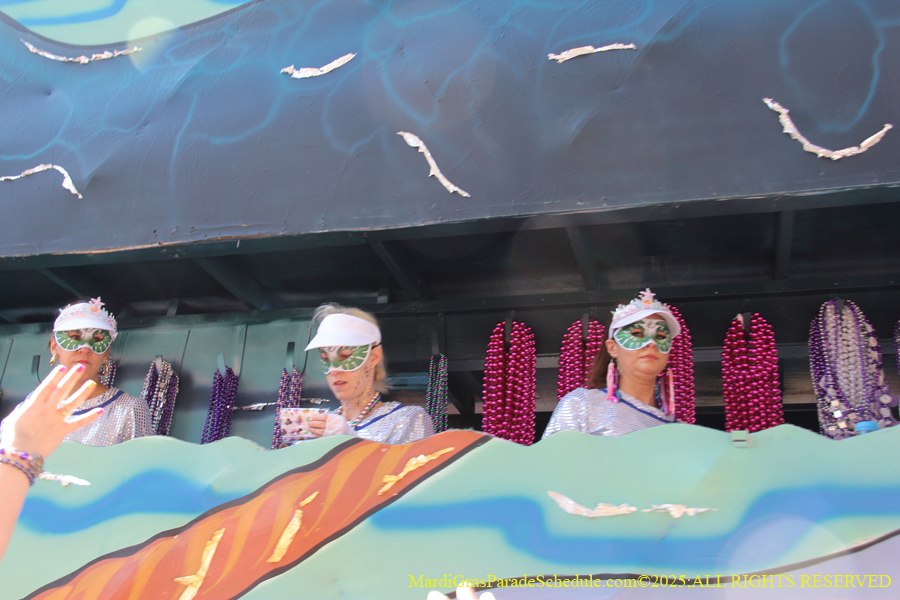 Krewe-of-Iris-2025-0859