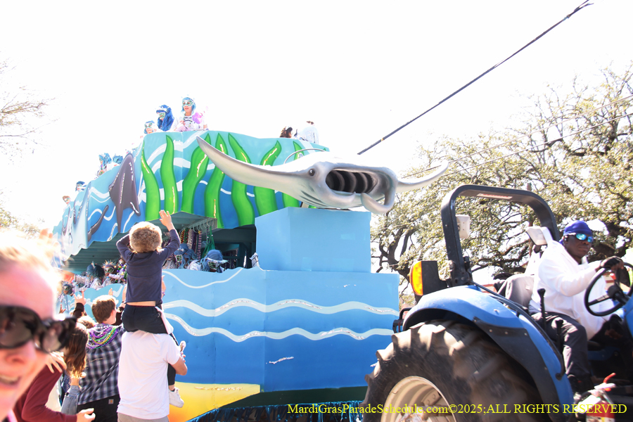 Krewe-of-Iris-2025-0860