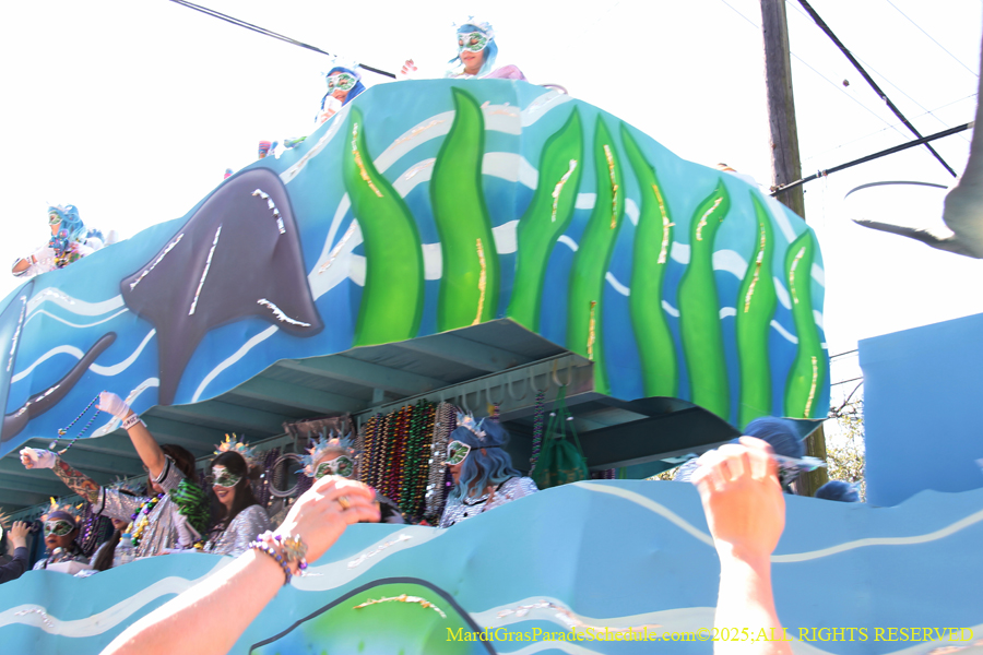 Krewe-of-Iris-2025-0861