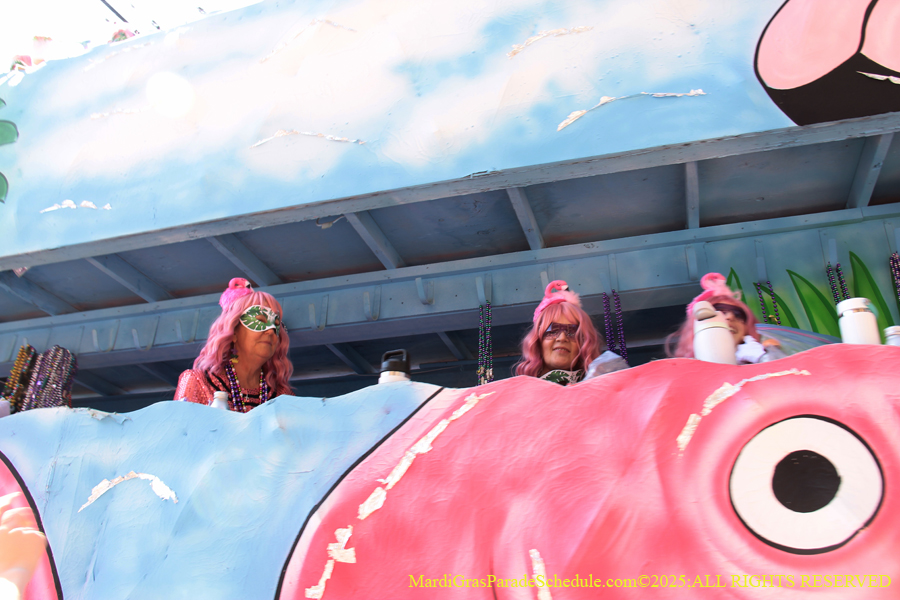 Krewe-of-Iris-2025-0862