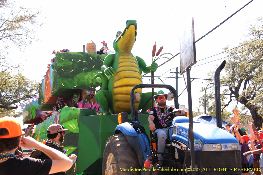 Krewe-of-Iris-2025-0864