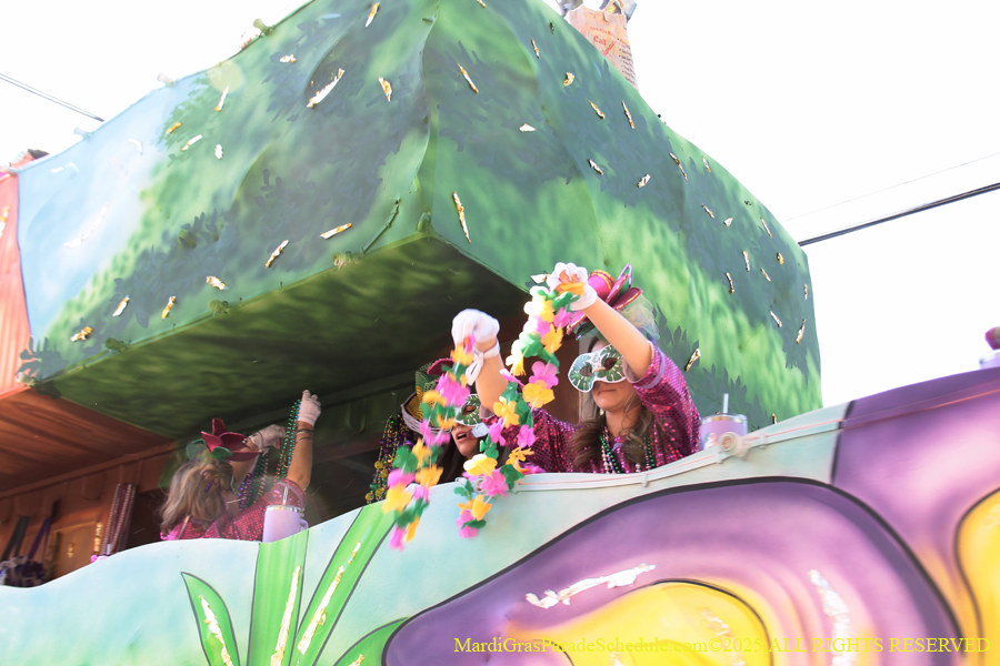 Krewe-of-Iris-2025-0865