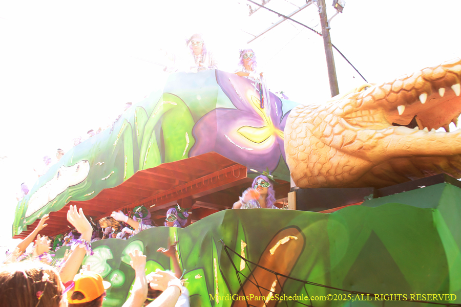 Krewe-of-Iris-2025-0866