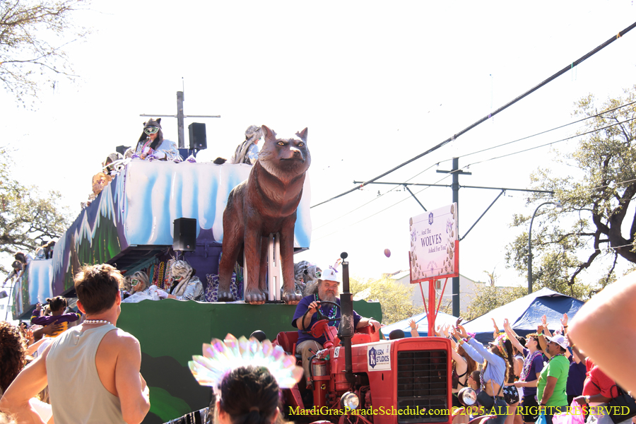 Krewe-of-Iris-2025-0872